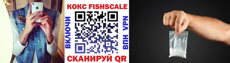 КОКАИН Fish Scale  Купить  Емва 